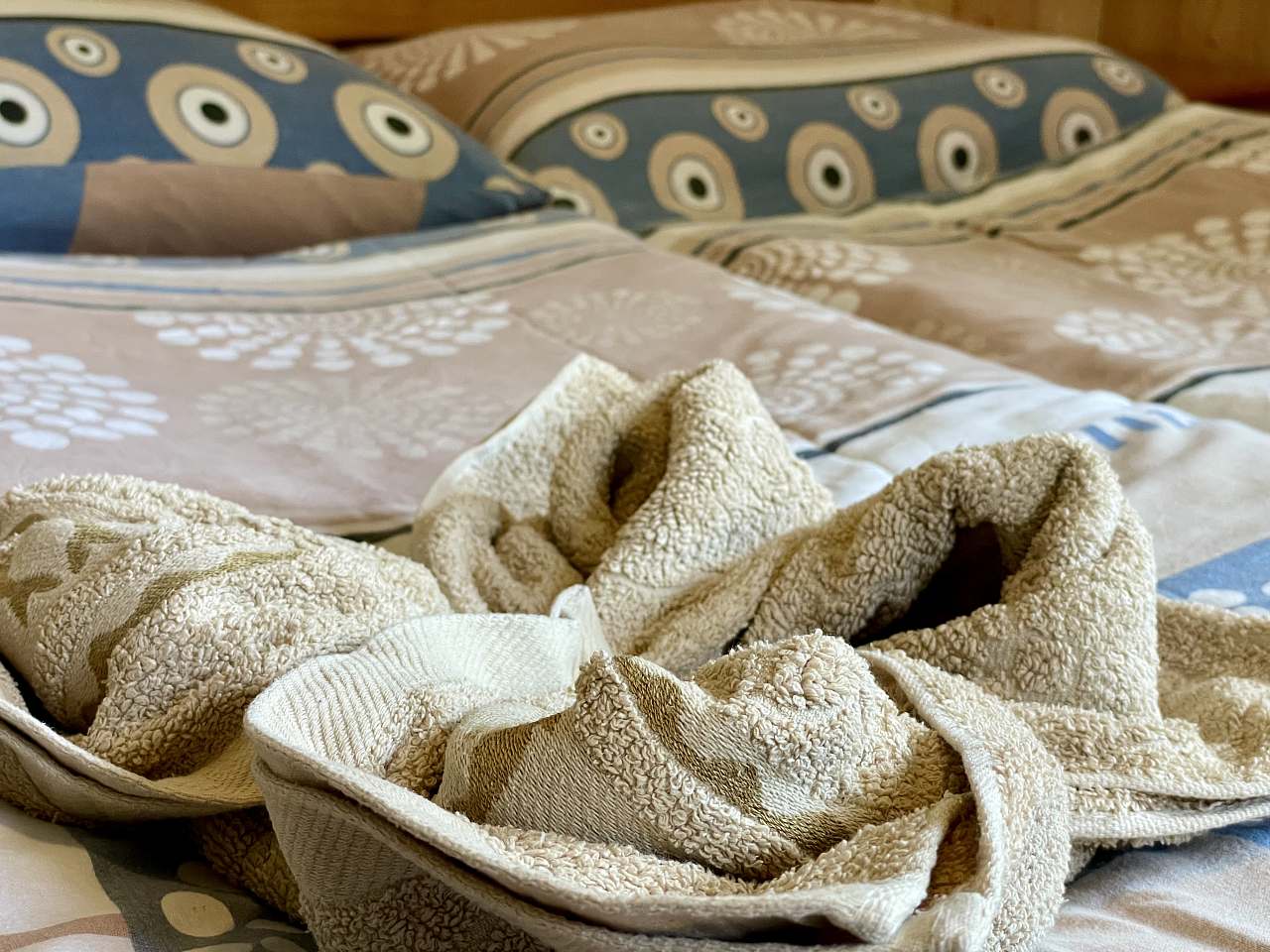 %chata chalupa ubytovaní velká orlické hory penzion se psy s dětmi rodiny skupinyfilename%