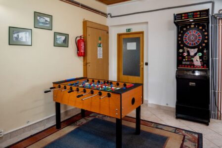 Firemní akce 20 %chata chalupa ubytovaní velká orlické hory penzion se psy s dětmi rodiny skupinyfilename%