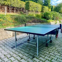 Ceník 9 %chata chalupa ubytovaní velká orlické hory penzion se psy s dětmi rodiny skupinyfilename%