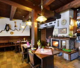 Turistika, lyžování 3 %chata chalupa ubytovaní velká orlické hory ubytovani se psy s dětmi rodiny skupinyfilename%